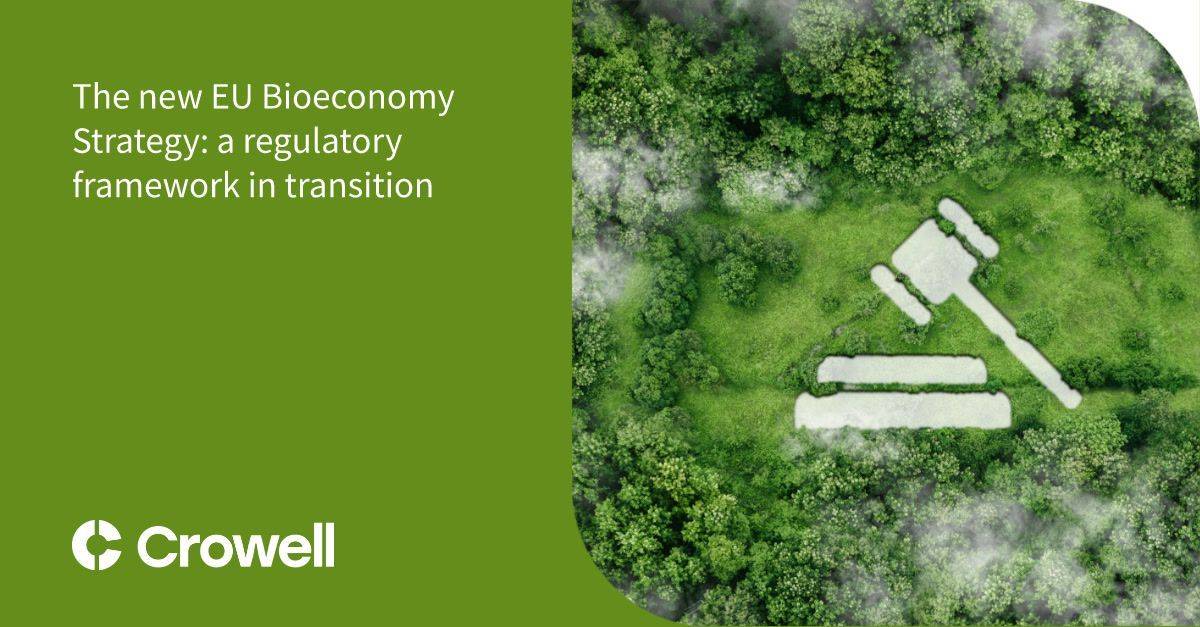The new EU Bioeconomy Strategy: a regulatory framework in transition ...