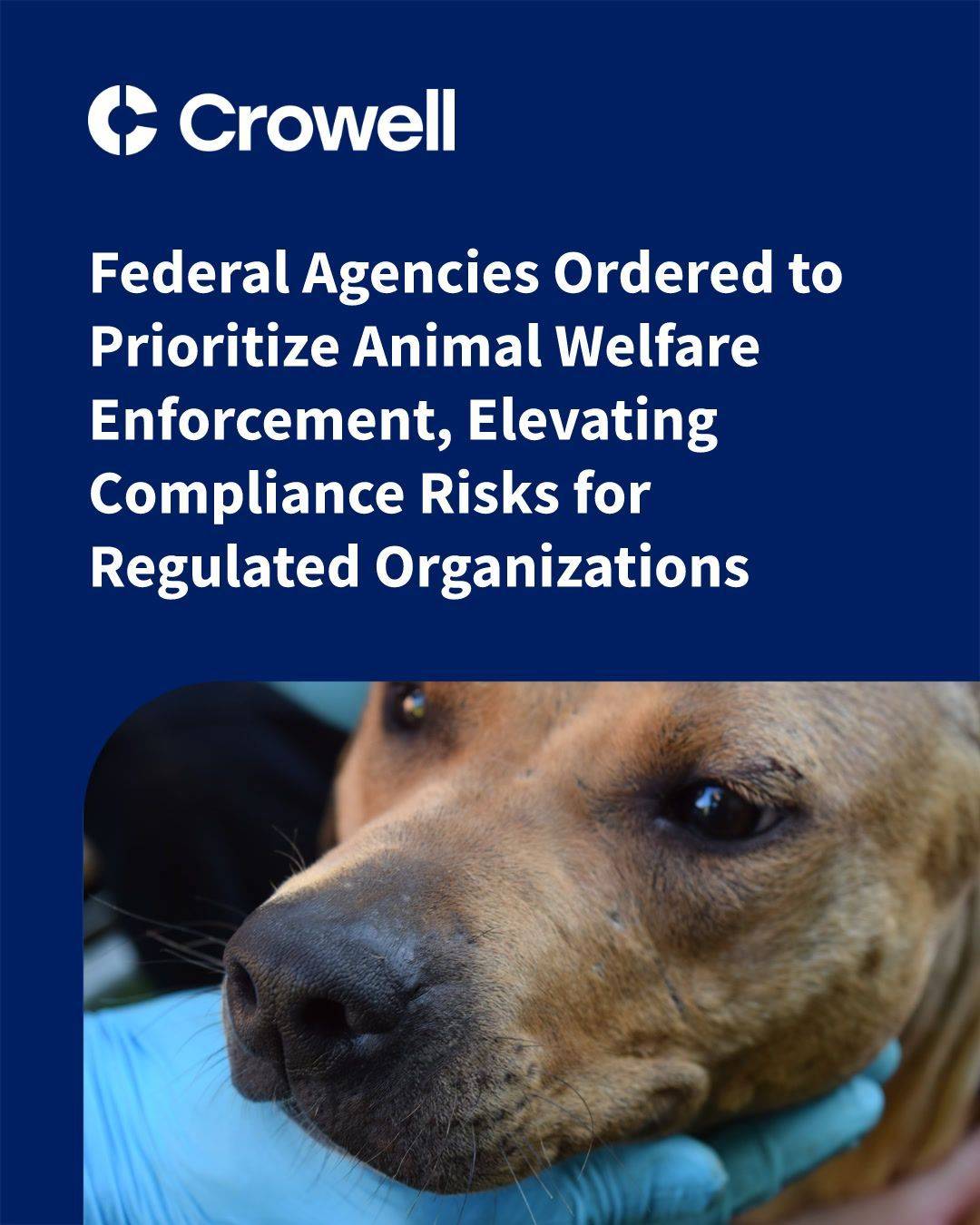 Federal Agencies Ordered to Prioritize Animal Welfare Enforcement ...